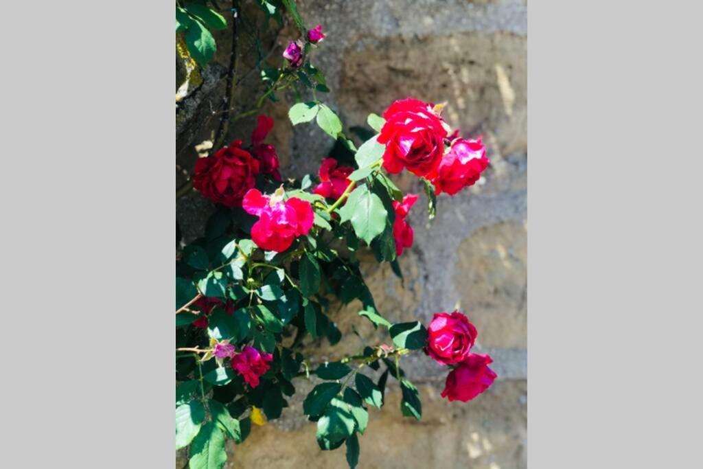La Campagne Proche De Charleville-Mezieres This エクステリア 写真